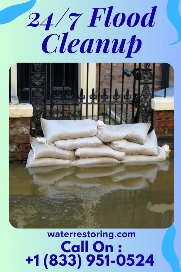 24/7 Flood Cleanup in Gorman, NC