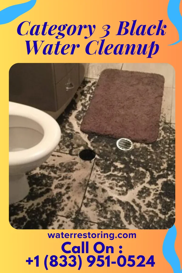Category 3 Black Water Cleanup in Gorman, NC