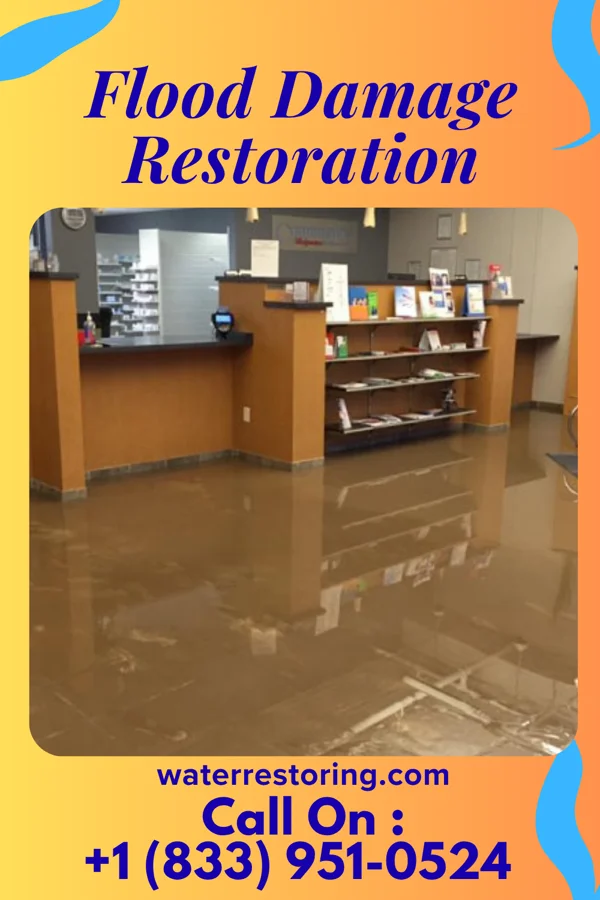 Flood Damage Restoration in Gorman, NC
