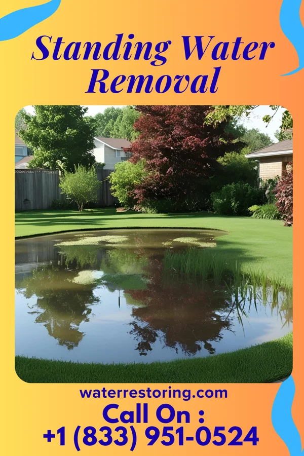 Standing Water Removal in Gorman, NC